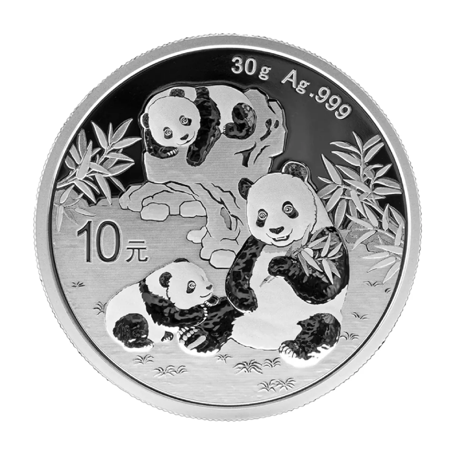 30g Silber China Panda 2025