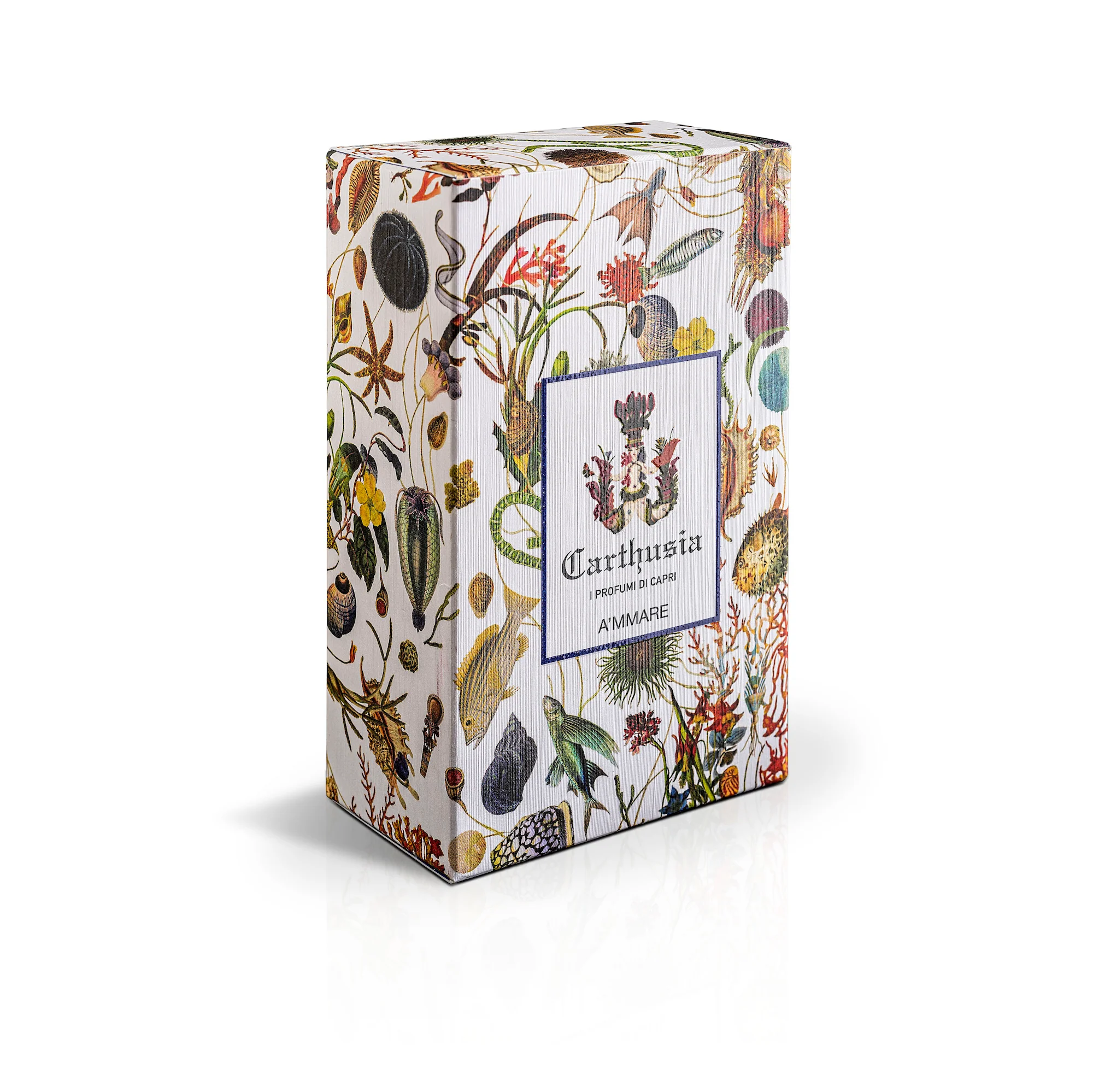 A'mmare - Eau de Parfum - Image 2
