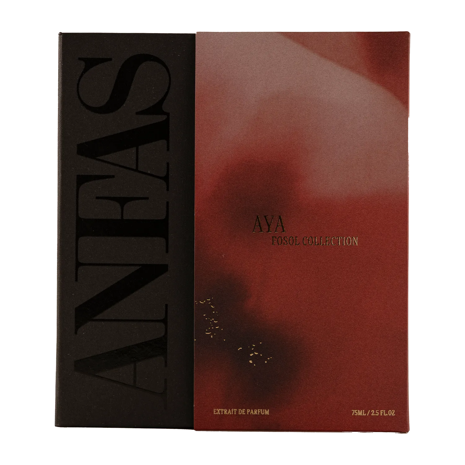 Aya - Image 2