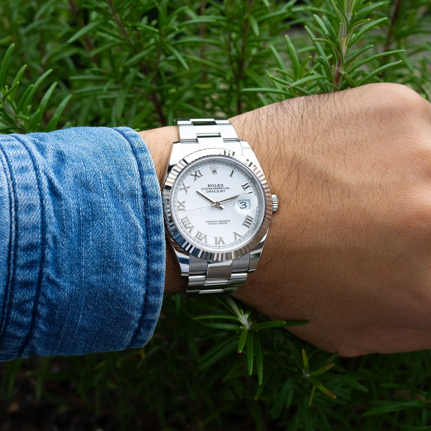 Datejust 41mm White Roman Dial 2023 Oyster - 126334 - Image 5