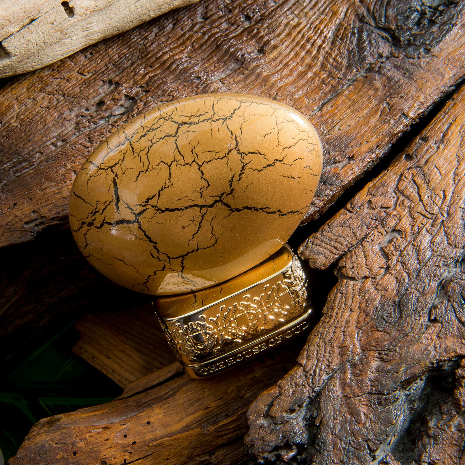 Golden Powder - Image 3