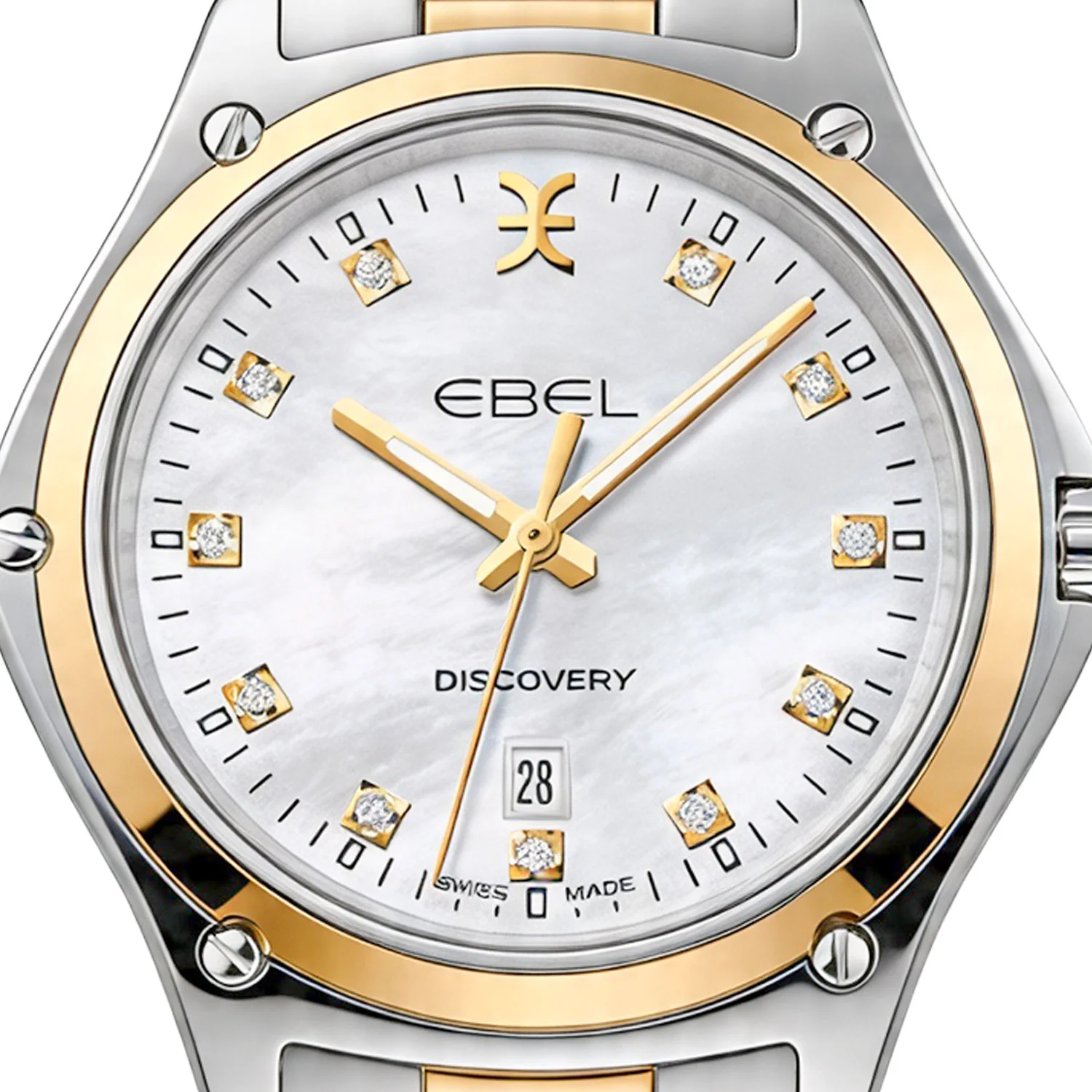 Discovery  33 mm Grey Mother-Of-Pearl Roman Dial Unworn 2026 - 1216498 - Image 2