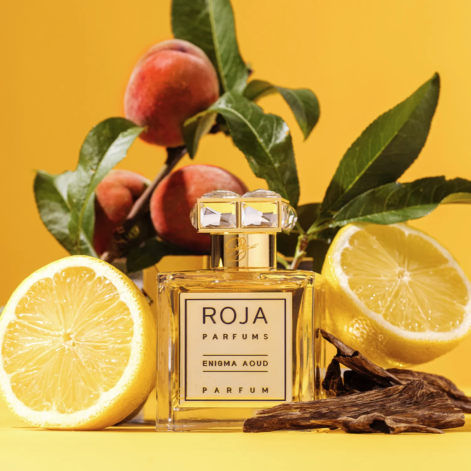 Enigma Aoud - Image 3