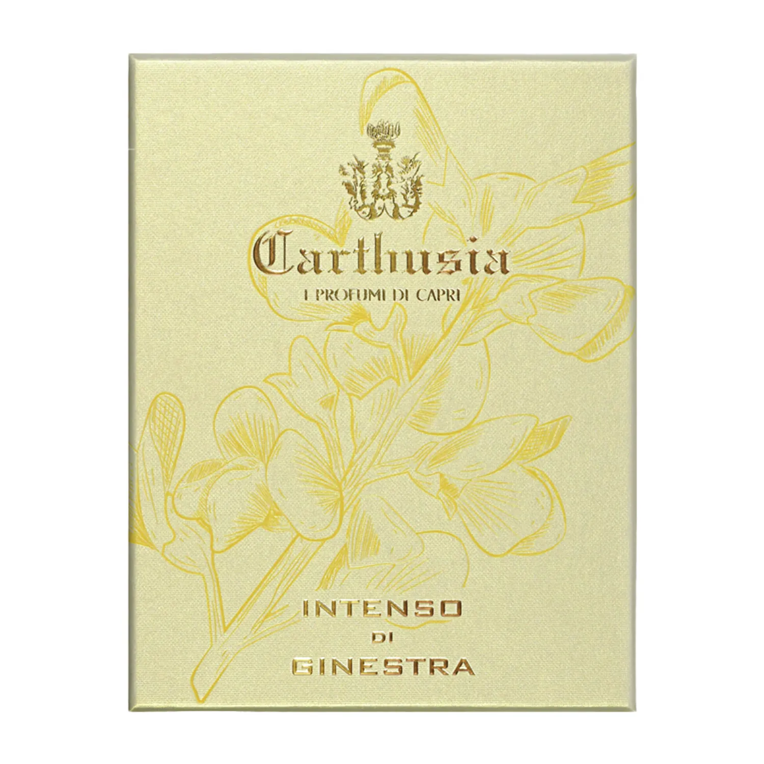 Intenso di Ginestra - Image 2