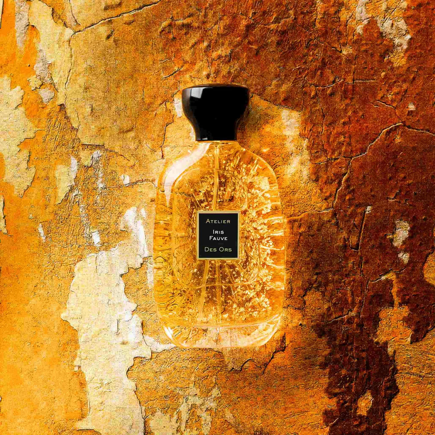 Iris Fauve - Image 2