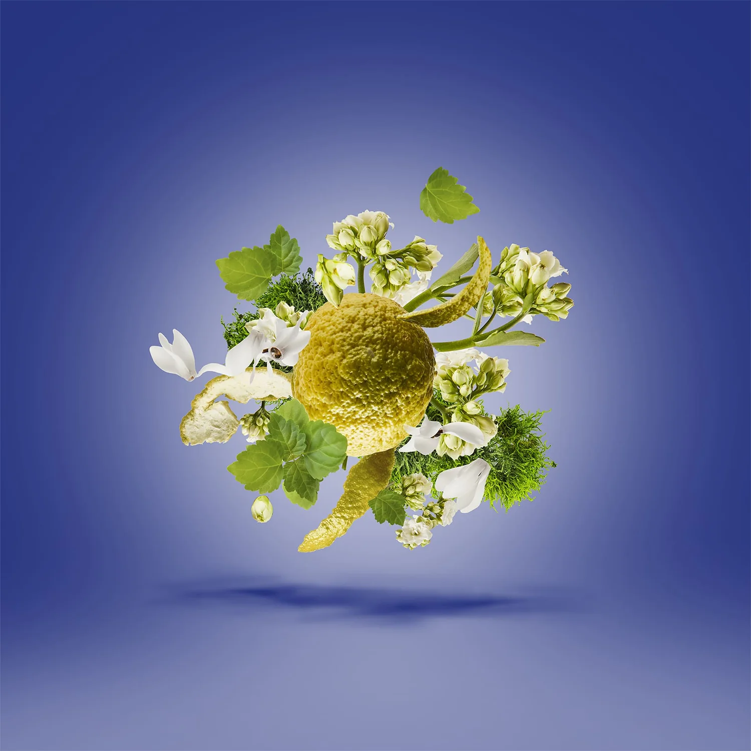 Torino 23 - Image 4
