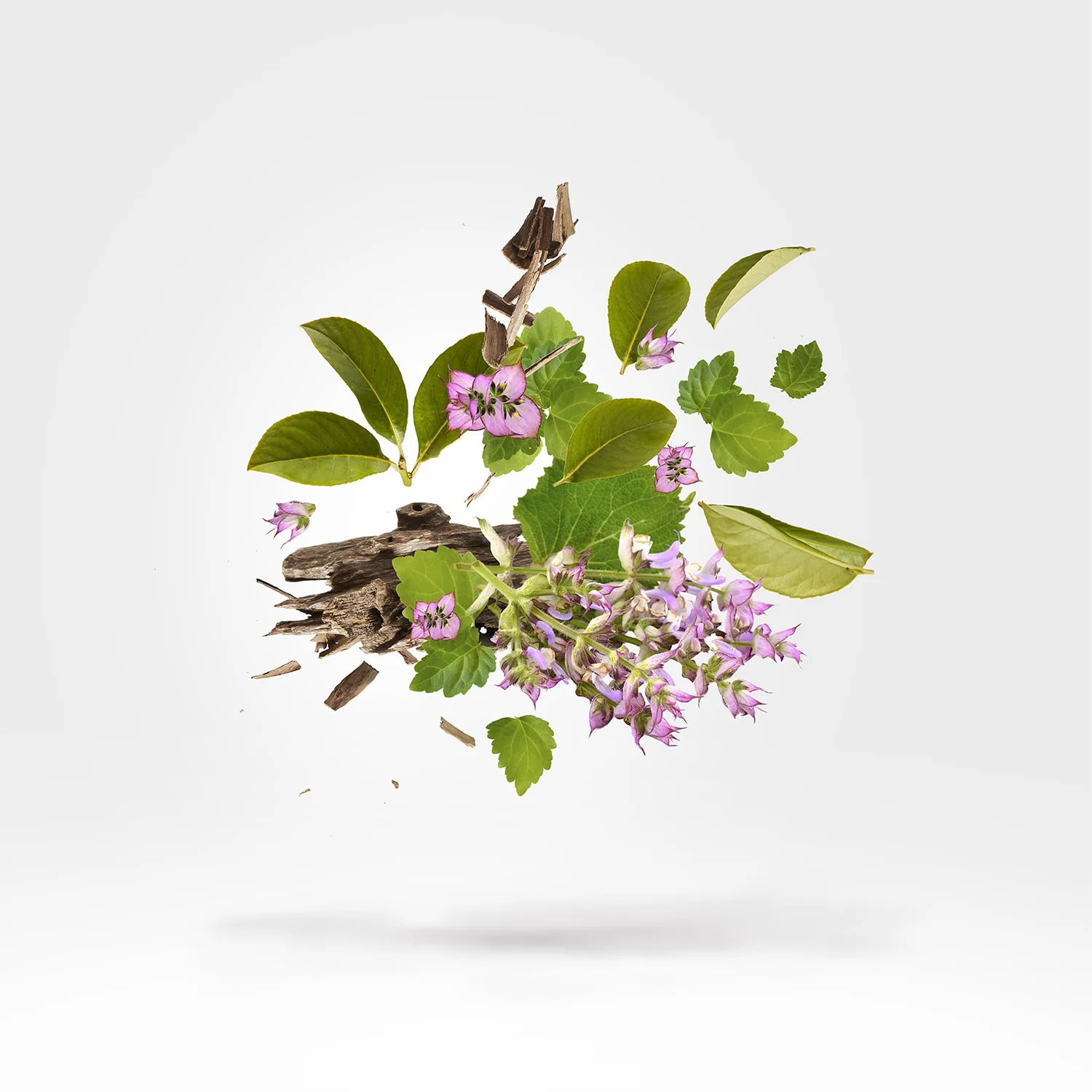 Holysm - Image 3