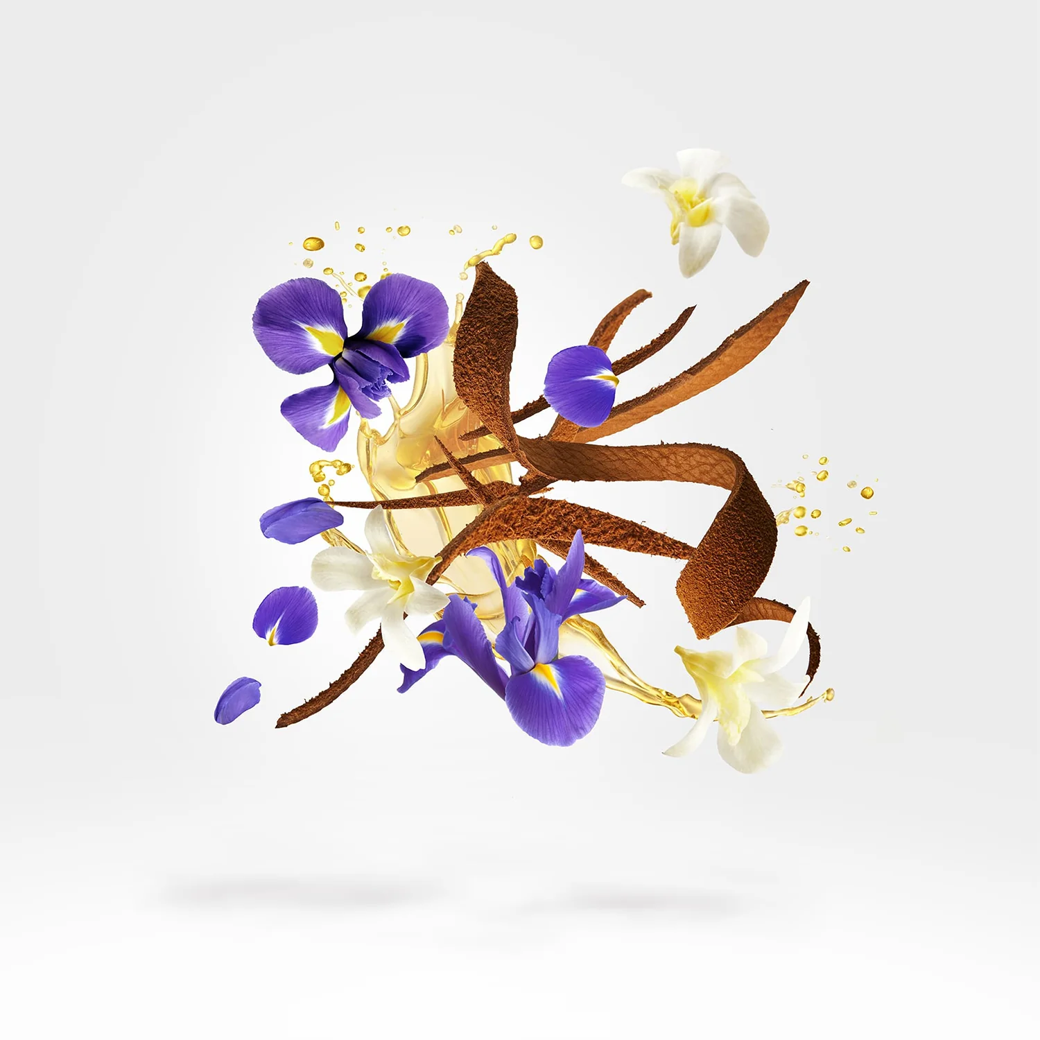 K Collection - Aqua Regia - Image 3