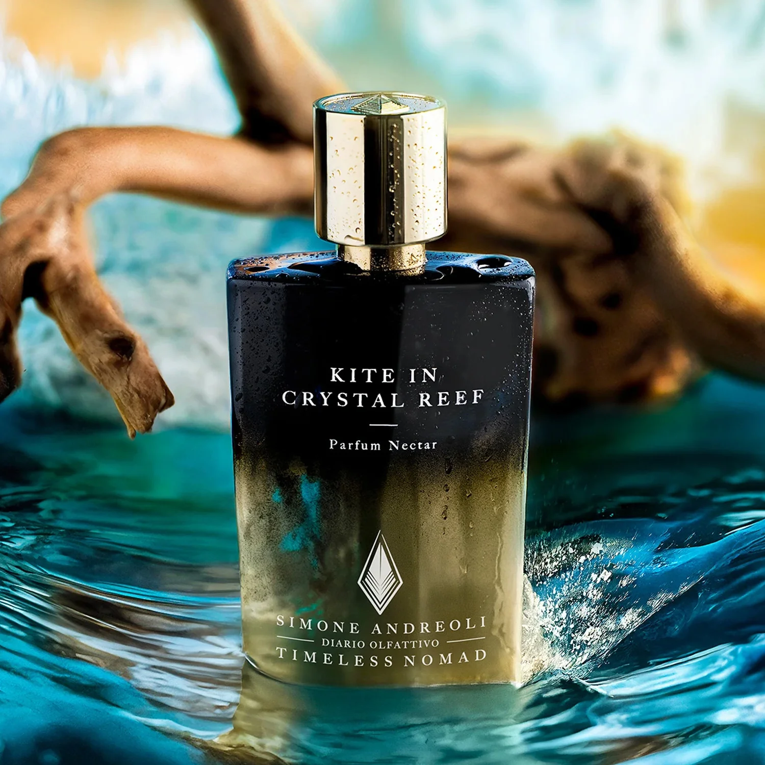 KITE IN CRYSTAL REEF - Image 2