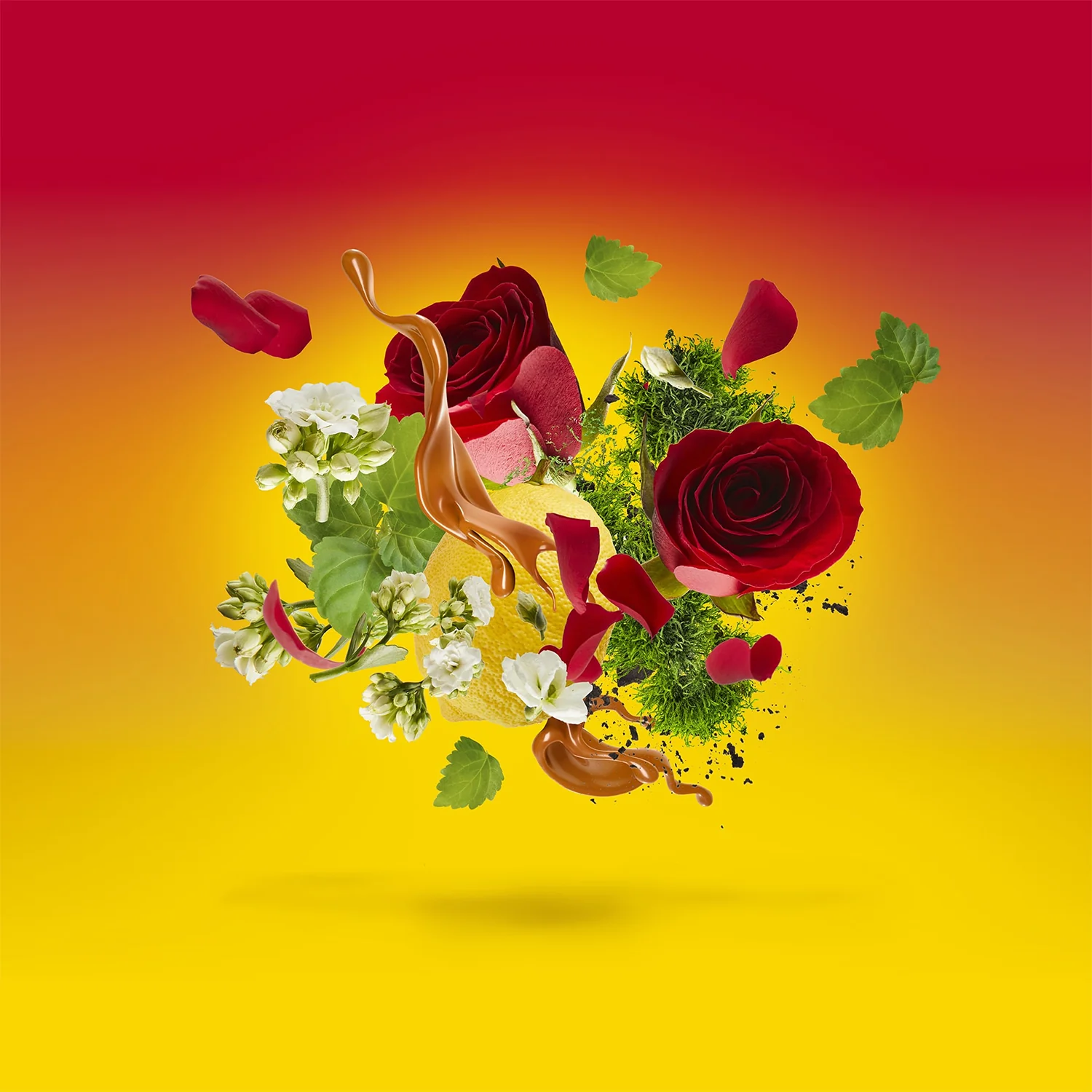 Levar del Sole - Image 2