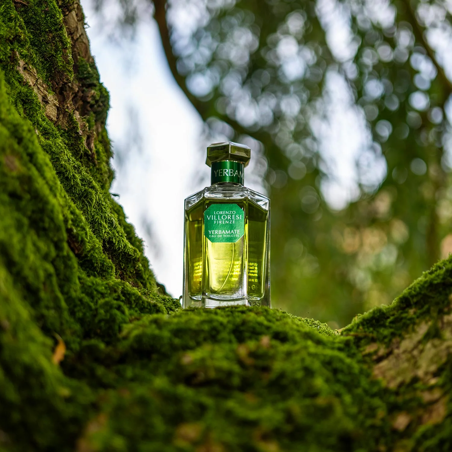 Yerbamate - Image 4