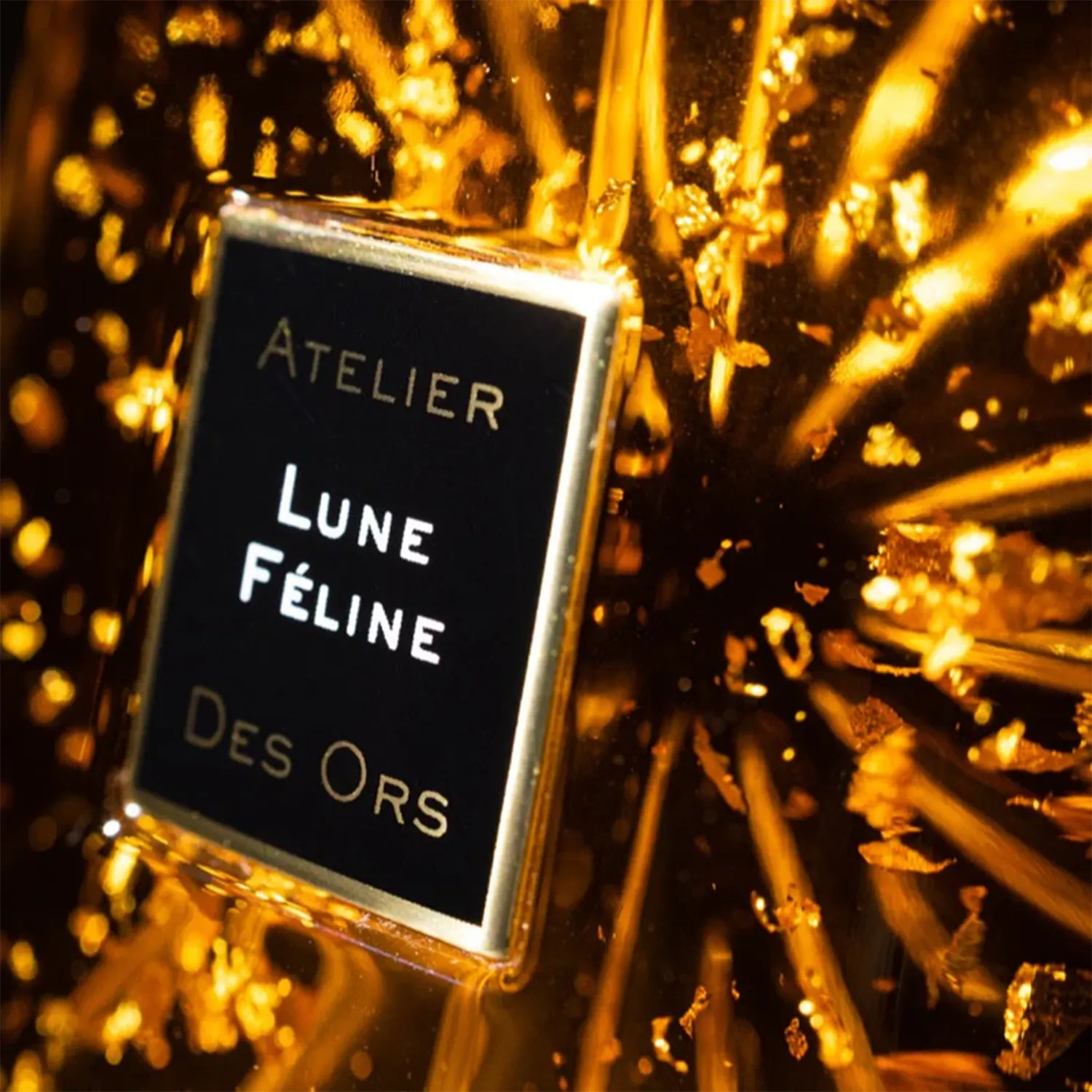 Lune Féline - Image 5