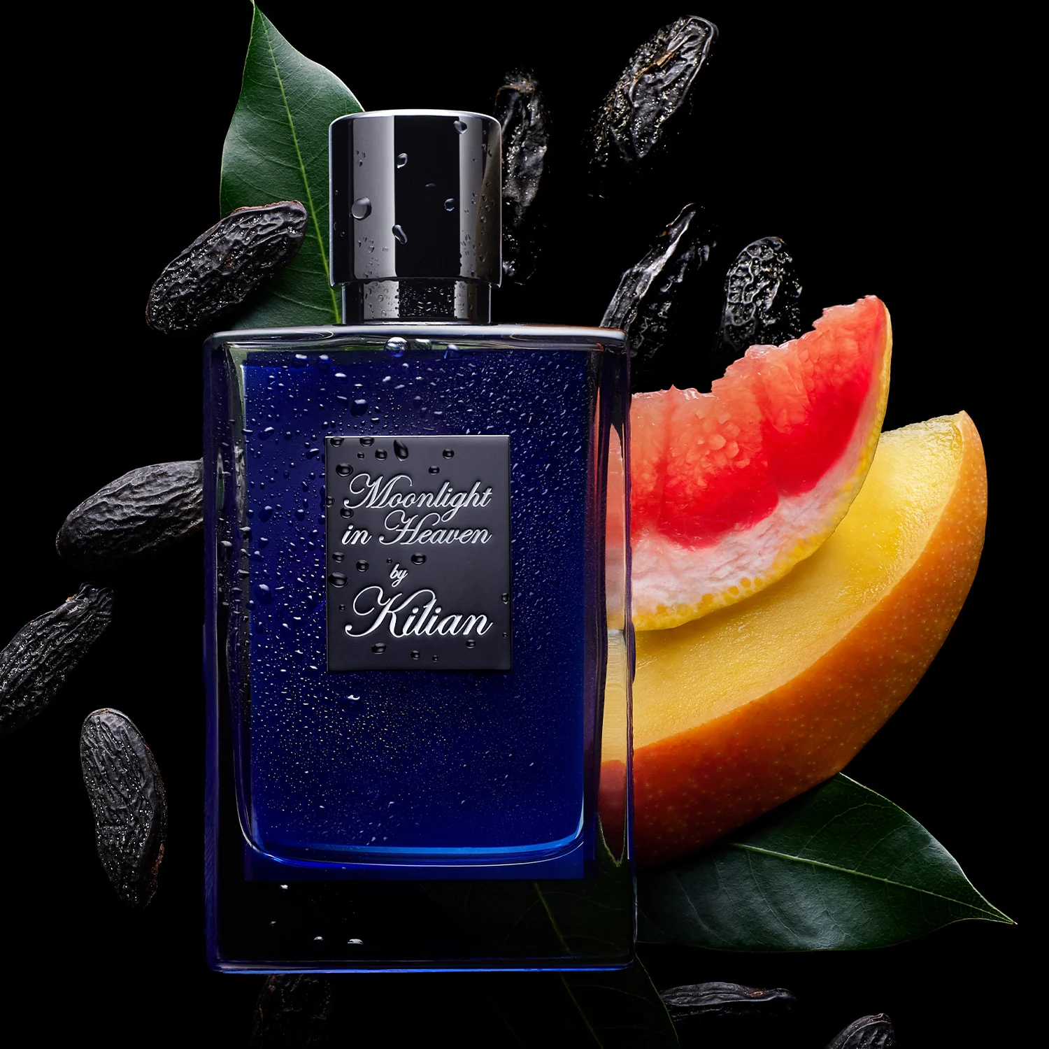 Moonlight in Heaven - Image 5