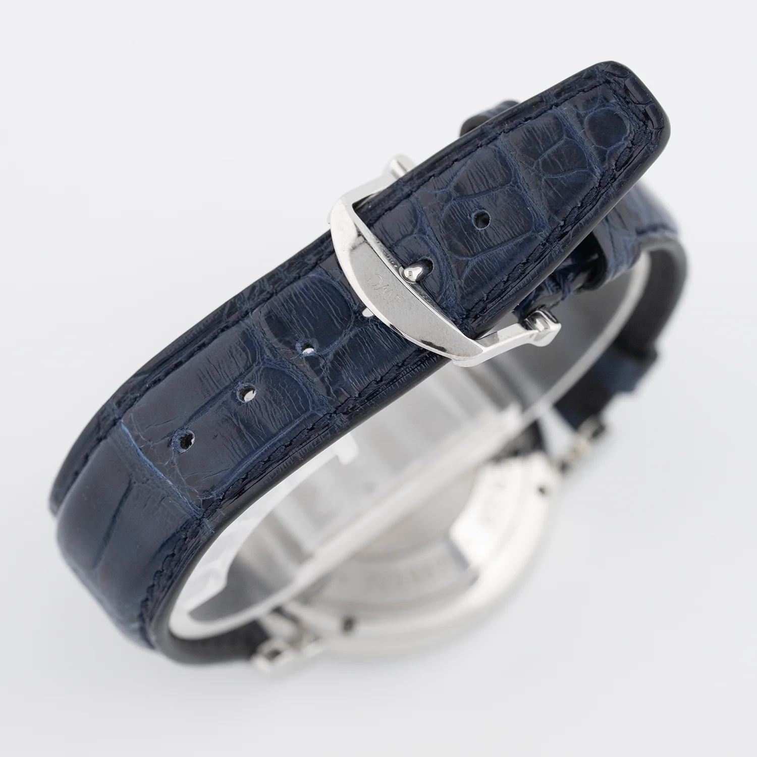 Portofino Chronograph 39mm 2022 - IW391407 - Image 6