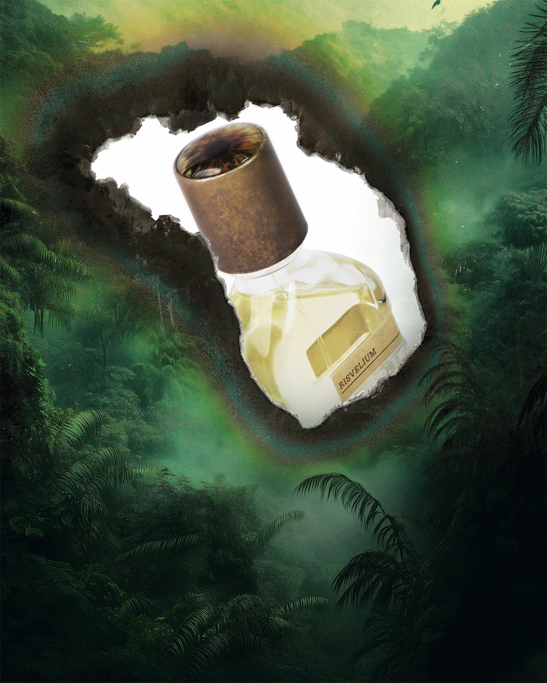 Risvelium - Image 2