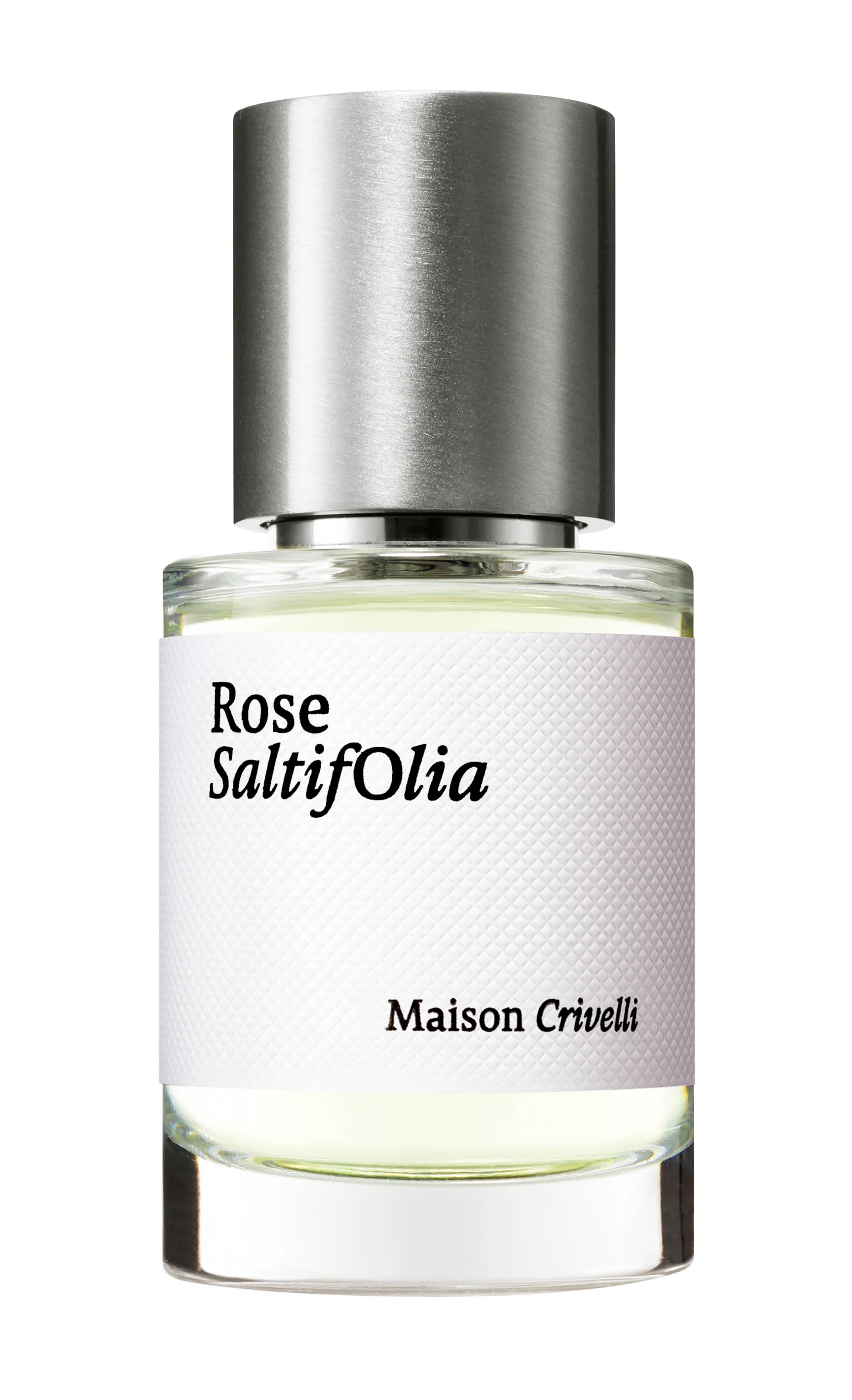 Rose Saltifolia - Image 2