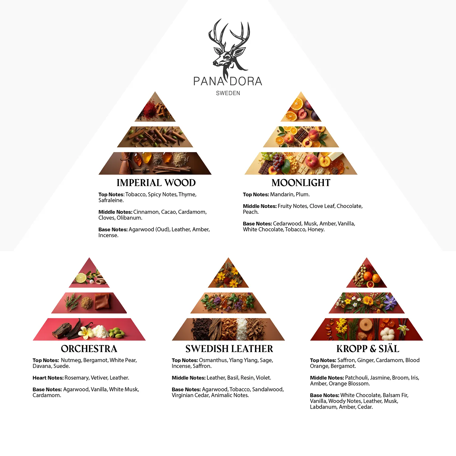 Rotes - Travel Set 2026 - Image 2