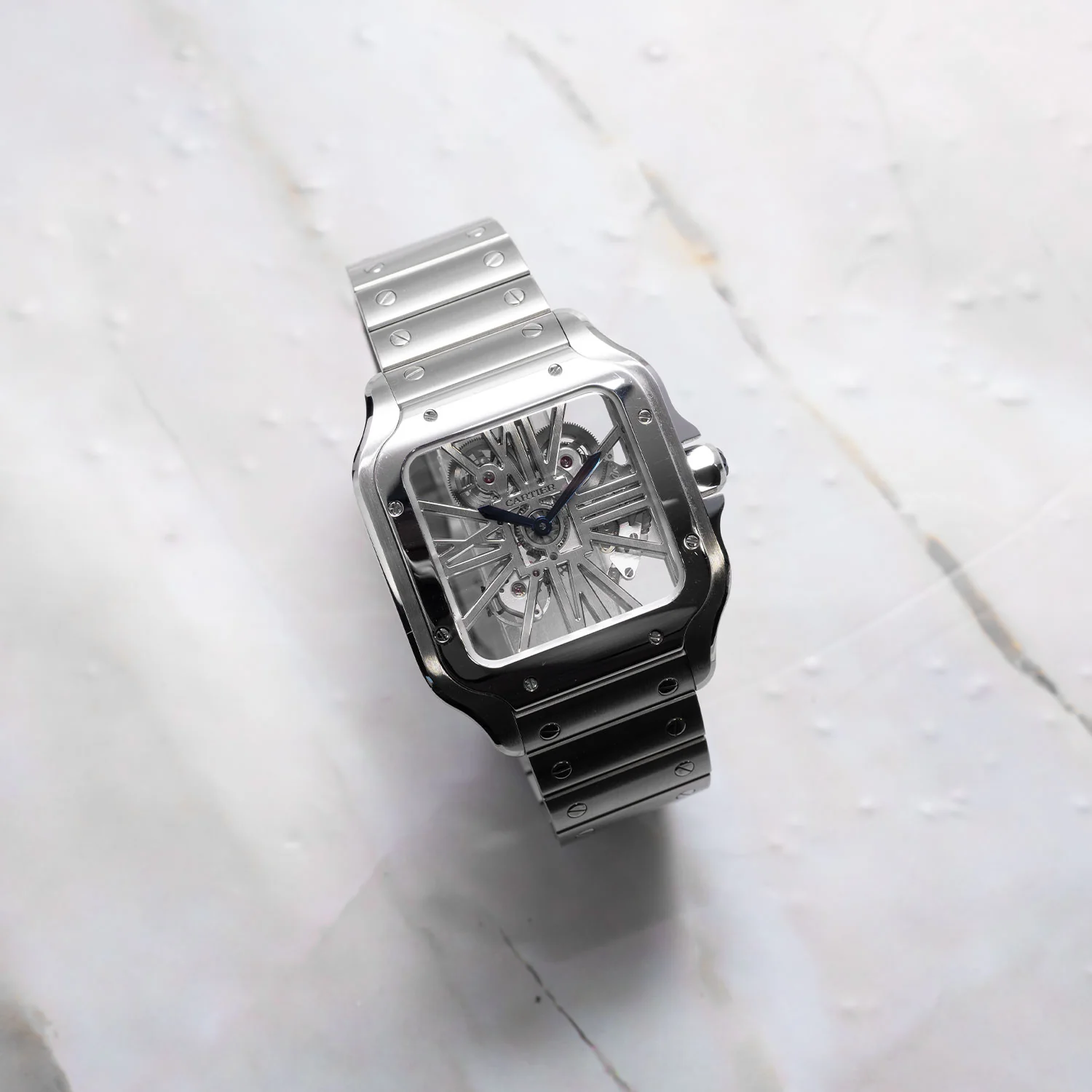 Santos Skeleton Full Set - WHSA0015 - Image 4