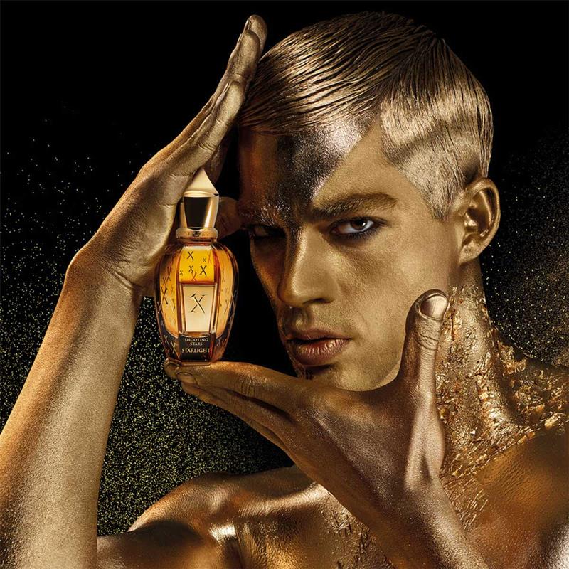 Starlight - Image 4