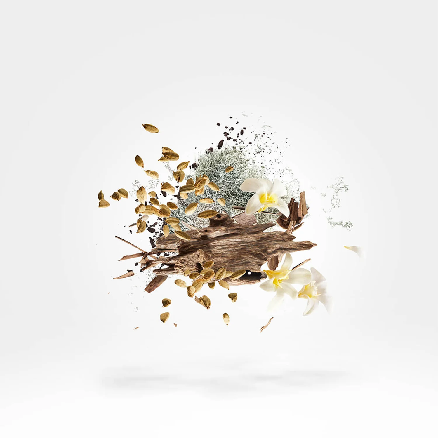 Symphonium - Image 5