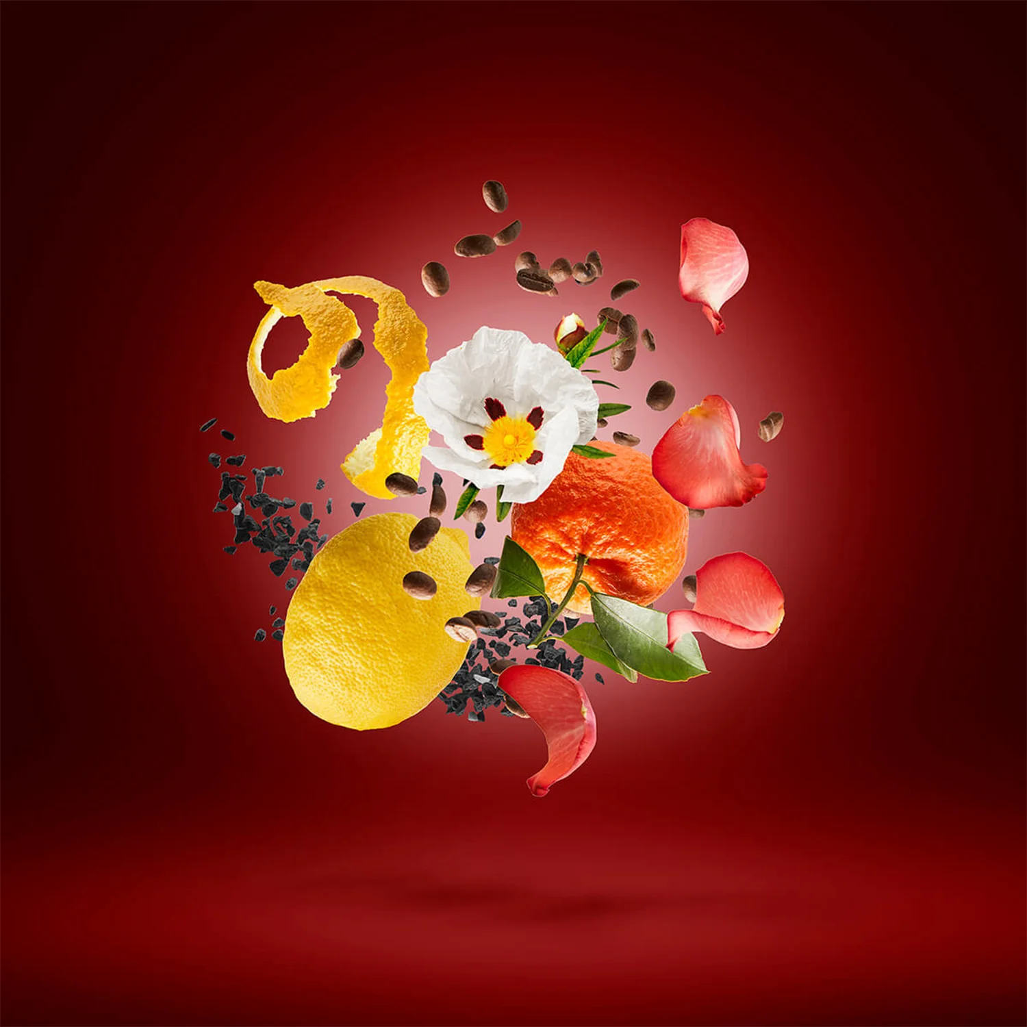 Golden Moka - Image 6