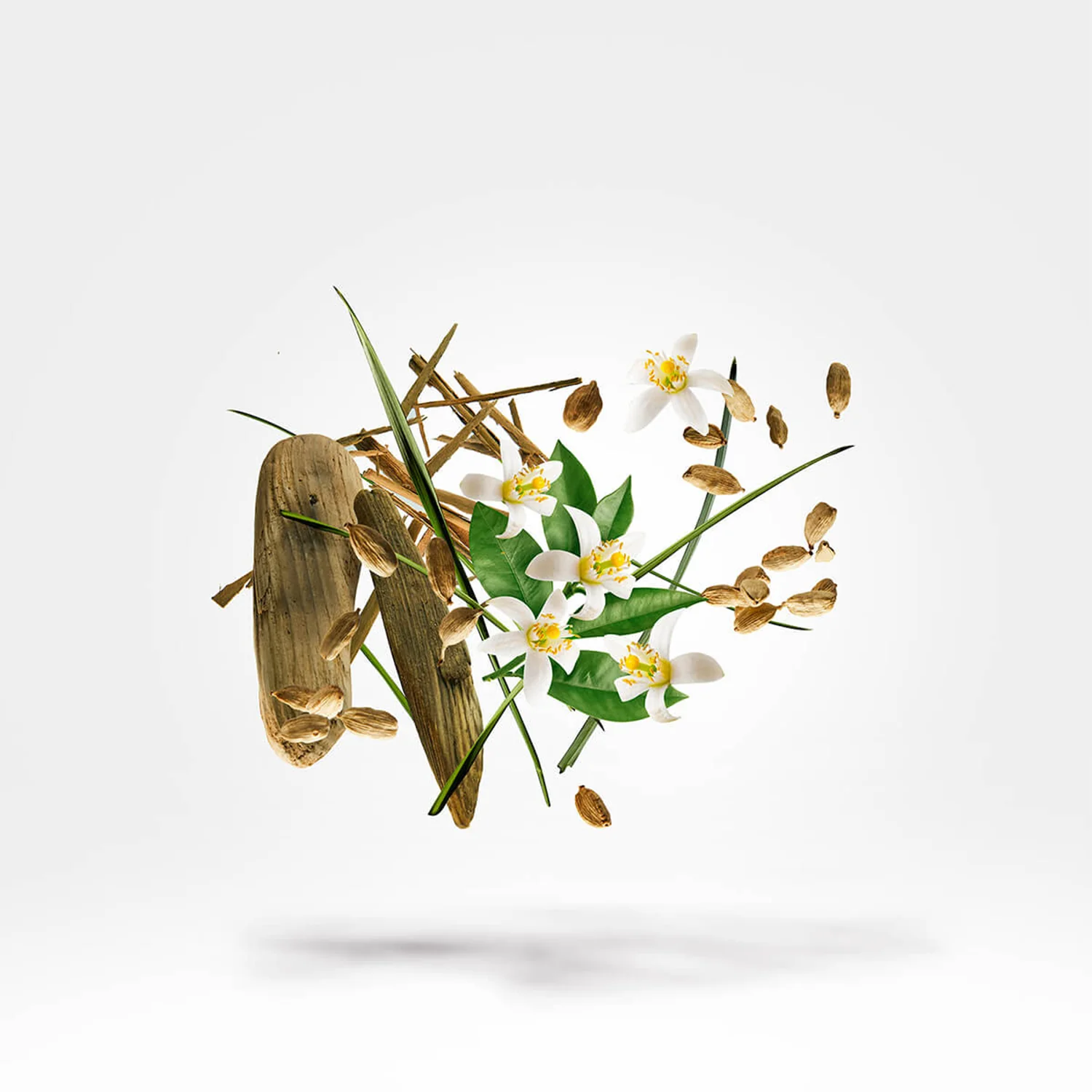 Nio - Image 3
