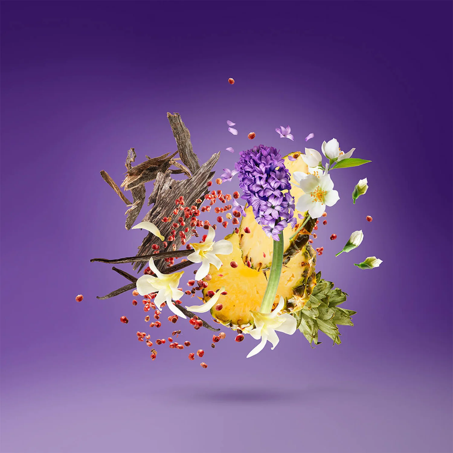 Purple Accento - Image 4