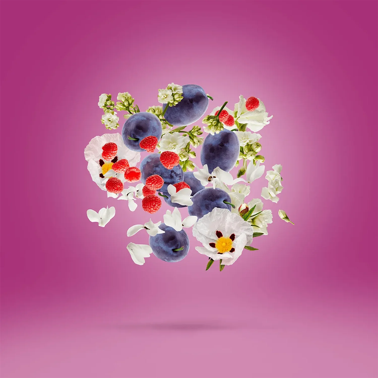 Muse - Image 5