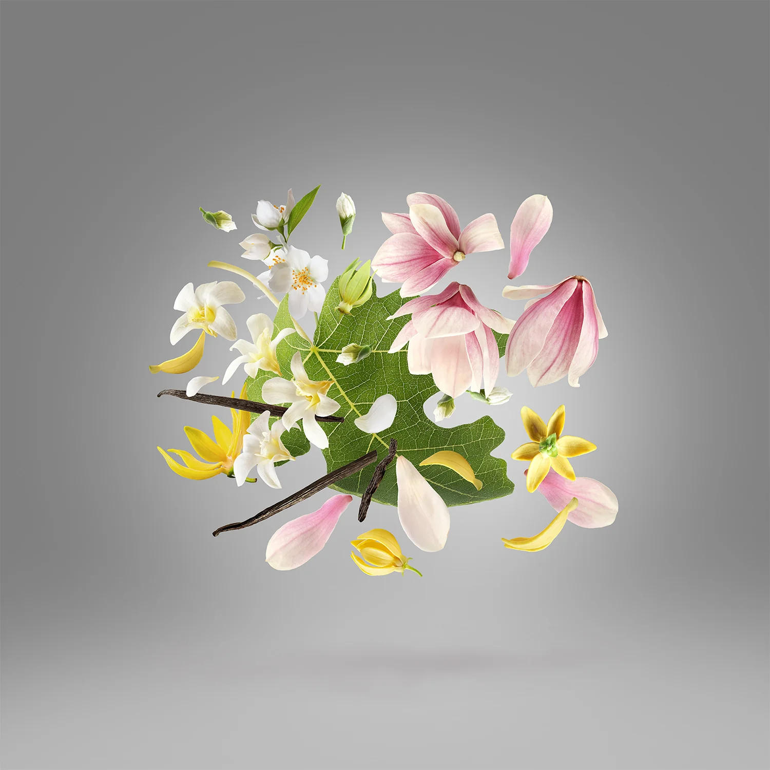 Ouverture - Image 4