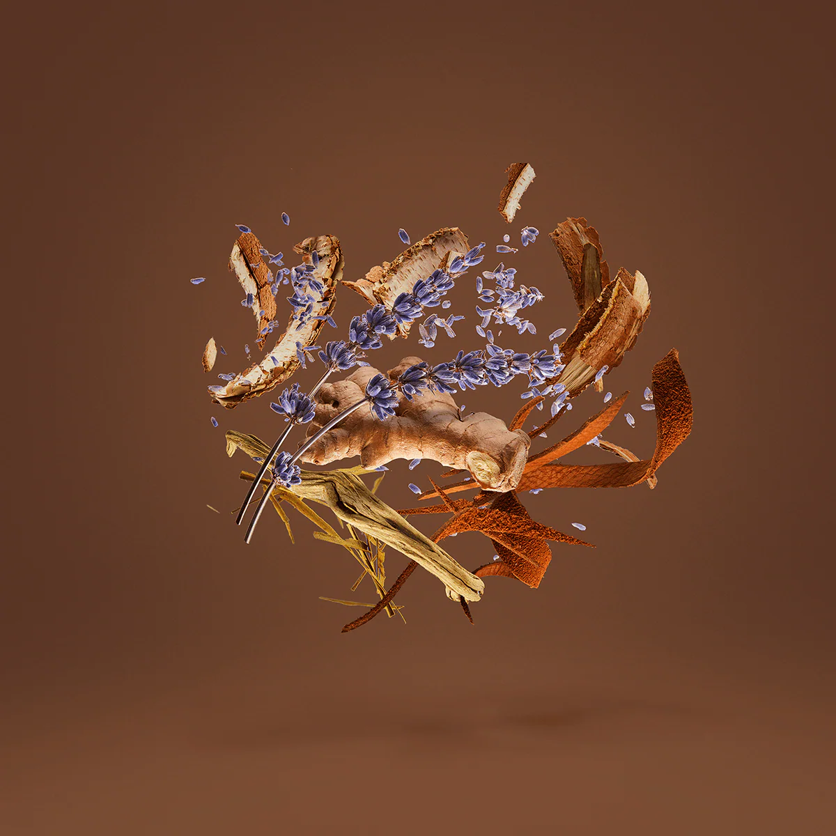 Homme - Image 3