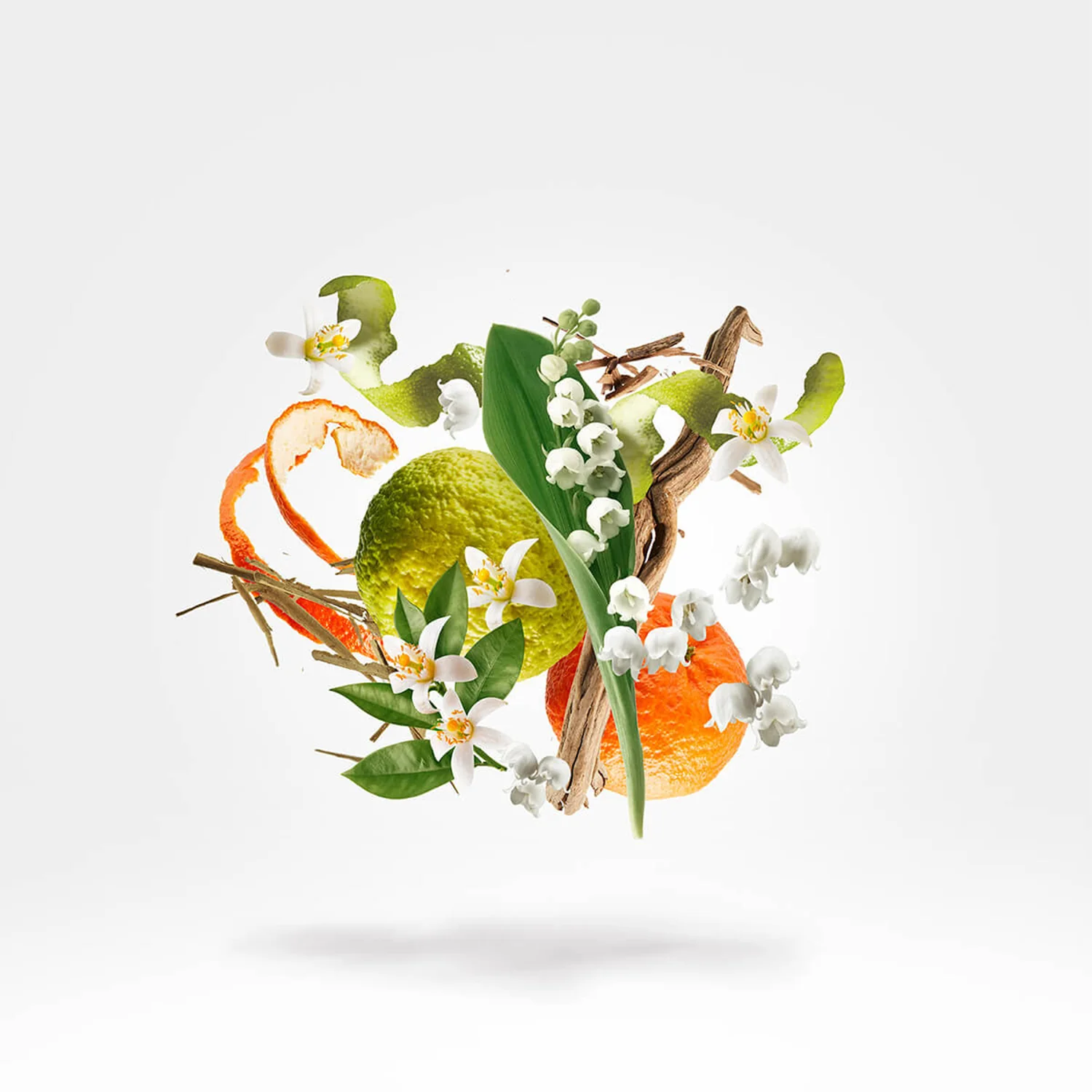 Renaissance - Image 5